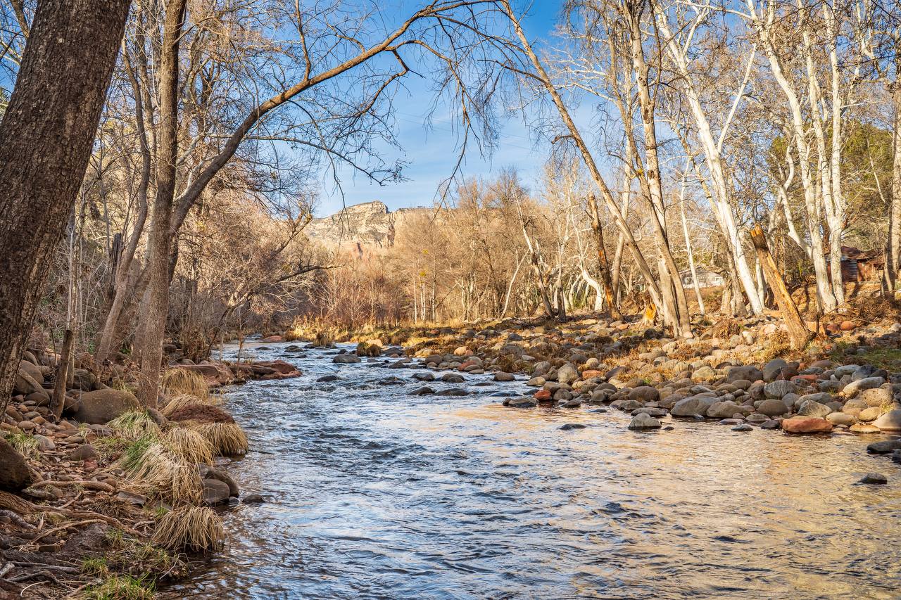 Oak Creek with red rock cliffs in background